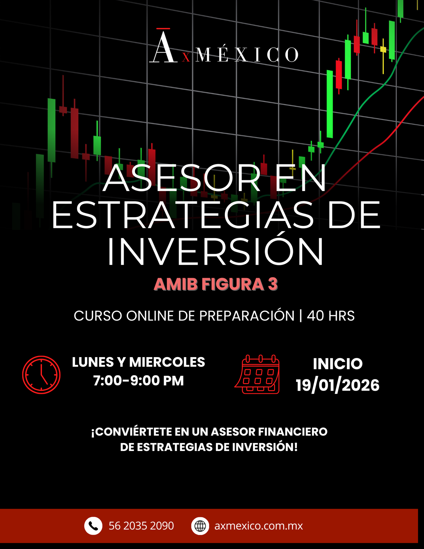 Asesor en Estrategias de Inversión - AMIB Figura 3