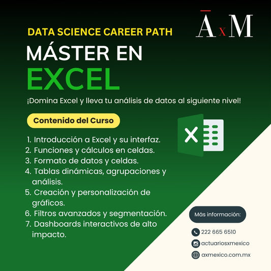 Máster en Excel