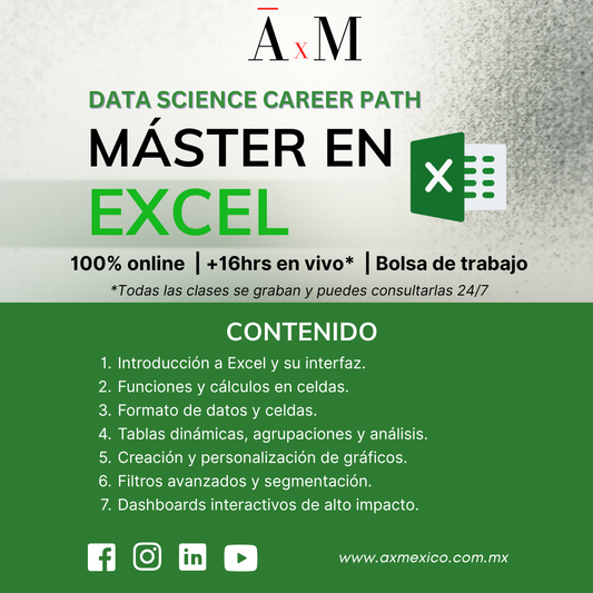 Máster en Excel