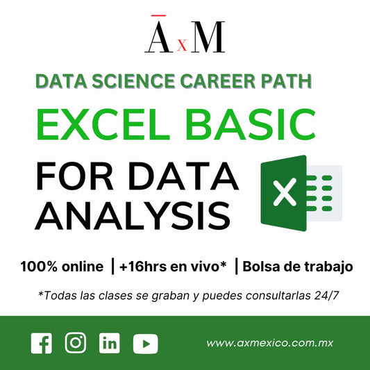 Excel Basic for Data Analysis